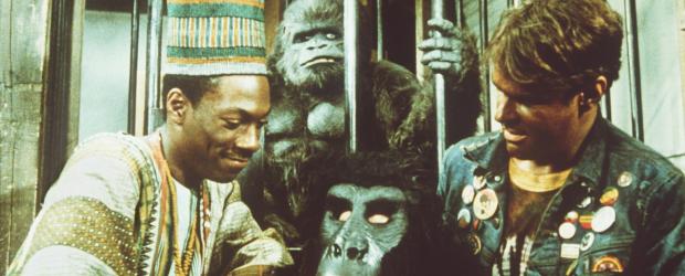 Die Glücksritter - Als Billy Ray (Eddie Murphy, l.) und Louis (Dan Aykroyd, r.) herausbekommen, dass die beiden Gebrüder Duke hinter den radikalen Veränderungen in ihrem Leben stecken, schwören sie sich, es den versnobten Tattergreisen heimzuzahlen ... © Paramount Pictures