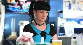 Navy CIS - Ein neuer Fall beschäftigt Abby (Pauley Perrette) und ihre Kollegen ... © CBS Television