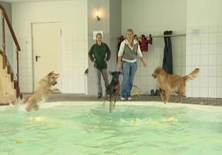 24 Stunden - Ca. fünf Millionen Hunde leben in Deutschlands Haushalten. Was, wenn Frauchen oder Herrchen in Urlaub, krank oder verhindert sind? In Berlin bietet das "Pfötchenhotel" alles, was das Hundeherz begehrt: Hundepool, Hundesalon, Hundeschule und eigene Zimmer, wie in einem richtigen Hotel. Da können Herrchen und Frauchen ihren Liebling beruhigt abgeben ... © Sat.1
