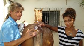 Die strengsten Eltern der Welt - Wird die 17-jährige Shiva (r.) auf der Hacienda im andalusischen Torrecera endlich begreifen, dass das Leben kein Ponyhof ist? © kabel eins