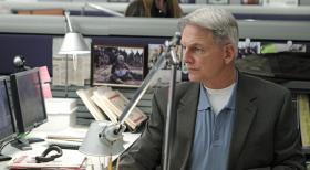 Gibbs (Mark Harmon) und sein Team ermitteln in einem neuen Mordfall ... © CBS Television