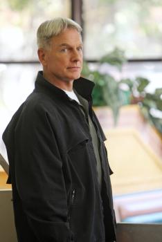 Navy CIS - Eine Entführung zwingt Gibbs (Mark Harmon) und Fornell zur Zusammenarbeit, damit sie ihrem größten Feind gegenübertreten können. Doch werden sie Erfolg haben? © CBS Television