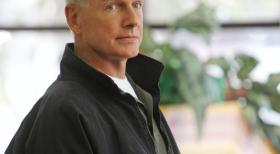 Navy CIS - Eine Entführung zwingt Gibbs (Mark Harmon) und Fornell zur Zusammenarbeit, damit sie ihrem größten Feind gegenübertreten können. Doch werden sie Erfolg haben? © CBS Television
