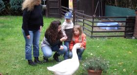 Zank am Zaun - Wenn Nachbarn sich den Krieg erklären: Wegen Emils Geschnatter hat Familie Hornung Probleme mit ihren Nachbarn ... © SAT.1