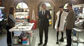 Ermitteln in einem neuen Fall: Ziva (Cote de Pablo, l.), Tony (Michael Weatherly, 2.v.l.), Abby (Pauley Perrette, 2.v.r.) und McGee (Sean Murray, r.) ... © CBS Television