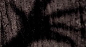 Wer hat Angst vorm schwarzen Mann?