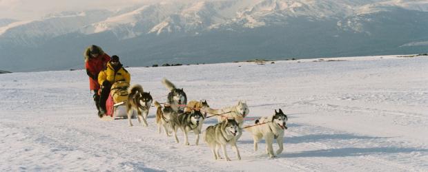Antarctica - Gefangen im Eis - Begeben sich auf eine gefährliche Expedition: Hundeführer Jerry Shepard (Paul Walker, l.) und der Geologe Davis McClaren (Bruce Greenwood, r.) ... © Walt Disney Pictures. All rights reserved.