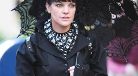Steht vor einem Rätsel: Nachdem Special Agent Patterson Abby (Pauley Perrette) ein Gemälde geschickt hat, wird er erschossen aufgefunden. Das NCIS Team suchen nach den Zusammenhängen ... © CBS Television