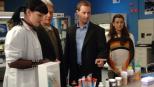 Stehen noch vor einem Rätsel: Abby (Pauley Perrette, l.), Gibbs (Mark Harmon, 2.v.l.), McGee (Sean Murray, 2.v.r.) und Ziva (Cote de Pablo, r.) ... © CBS Television Stehen noch vor einem Rätsel: Abby (Pauley Perrette, l.), Gibbs (Mark Harmon, 2.v.l.), McGee (Sean Murray, 2.v.r.) und Ziva (Cote de Pablo, r.) ... © CBS Television