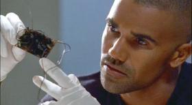Special Agent Derek Morgan (Shemar Moore) inspiziert eine gefundene Rohrbombe des Attentäters. © Touchstone Television