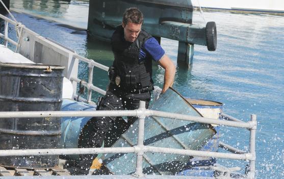 Hawaii Five-0 - Während das Team den Mord an einem Taucher untersucht, findet Steve (Alex O'Loughlin) heraus, dass Joe ihm gegenüber nicht ehrlich war .. © TM &   CBS Studios Inc. All Rights Reserved.