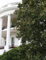 Obama hautnah - Unterwegs mit dem Präsidenten - Vom Oval Office über Air Force One bis zu aufwändigen Dinnern im Weißen Haus hat die Kamera den Präsidenten auf Schritt und Tritt verfolgt. Von der Hektik des täglichen Geschäfts bis zum Spaziergang mit Hund Bo kommt der Zuschauer Barack Obama ungewöhnlich nahe. © J.J. Kelley National Geographic Television International