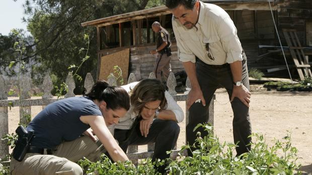 Touchstone Television Gemeinsam mit ihrem Team versuchen Prentiss (Paget Brewster, l.), Reid (Matth...