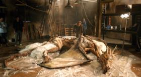 Dragon's World - Unglaubliche Entdeckung im Reich der Drachen