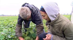 Tina Dauster (r.), eine Reporterin, arbeitet eine Woche lang bei der Gurkenernte im Spreewald. Was nach Abenteuer im Grünen klingt, wird zu einer extremen Erfahrung mit bleibenden Eindrücken ... © SAT.1