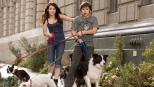Das Hundehotel - Versuchen alles, um ihre Hunde samt Herberge zu retten Andi (Emma Roberts, l.) und Bruce (Jake T. Austin, r.) ... © MMVIII MavroCine Pictures GmbH & Co. KG All Rights Reserved. Das Hundehotel - Versuchen alles, um ihre Hunde samt Herberge zu retten Andi (Emma Roberts, l.) und Bruce (Jake T. Austin, r.) ... © MMVIII MavroCine Pictures GmbH & Co. KG All Rights Reserved.