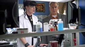 Navy Lieutenant Commander Patrick Casey wird erschossen im Wald aufgefunden. Er wurde mit einem seltenen Gewehrtyp umgebracht. Gibbs (Mark Harmon, r.), Abby (Pauley Perrette, l.) und das restliche Team beginnen sofort mit den Ermittlungen ... © CBS Television