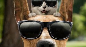 Marmaduke