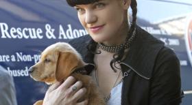 Navy CIS - Wird durch eine Entdeckung ziemlich vor dem Kopf gestoßen: Abby (Pauley Perrette) ... © CBS Television