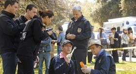 Navy CIS - Ermitteln in einem neuen Mordfall: Tony (Michael Weatherly, l.), McGee (Sean Murray, 2.v.l.), Ziva (Cote de Pablo, 3.v.l.), Jimmy (Brian Dietzen, 3.v.r.), Gibbs (Mark Harmon, 2.v.r.) und Ducky (David McCallum, r.) ... © 2012 CBS Broadcasting Inc. All Rights Reserved.