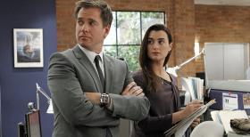 Ein neuer Auftrag wartet auf Ziva (Cote de Pablo, r.) und Tony (Michael Weatherly, l.) ... © CBS Television