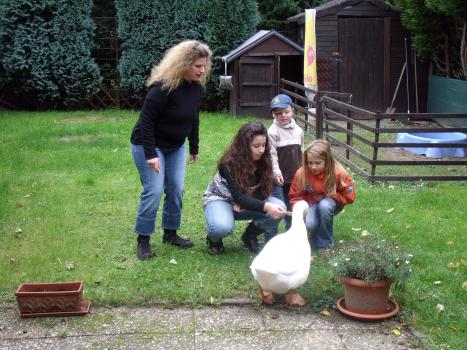 Zank am Zaun - Wenn Nachbarn sich den Krieg erklären: Wegen Emils Geschnatter hat Familie Hornung Probleme mit ihren Nachbarn ... © SAT.1