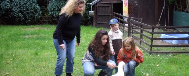 Zank am Zaun - Wenn Nachbarn sich den Krieg erklären: Wegen Emils Geschnatter hat Familie Hornung Probleme mit ihren Nachbarn ... © SAT.1